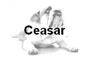 Ceasar