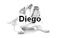 Diego