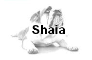 Shaia